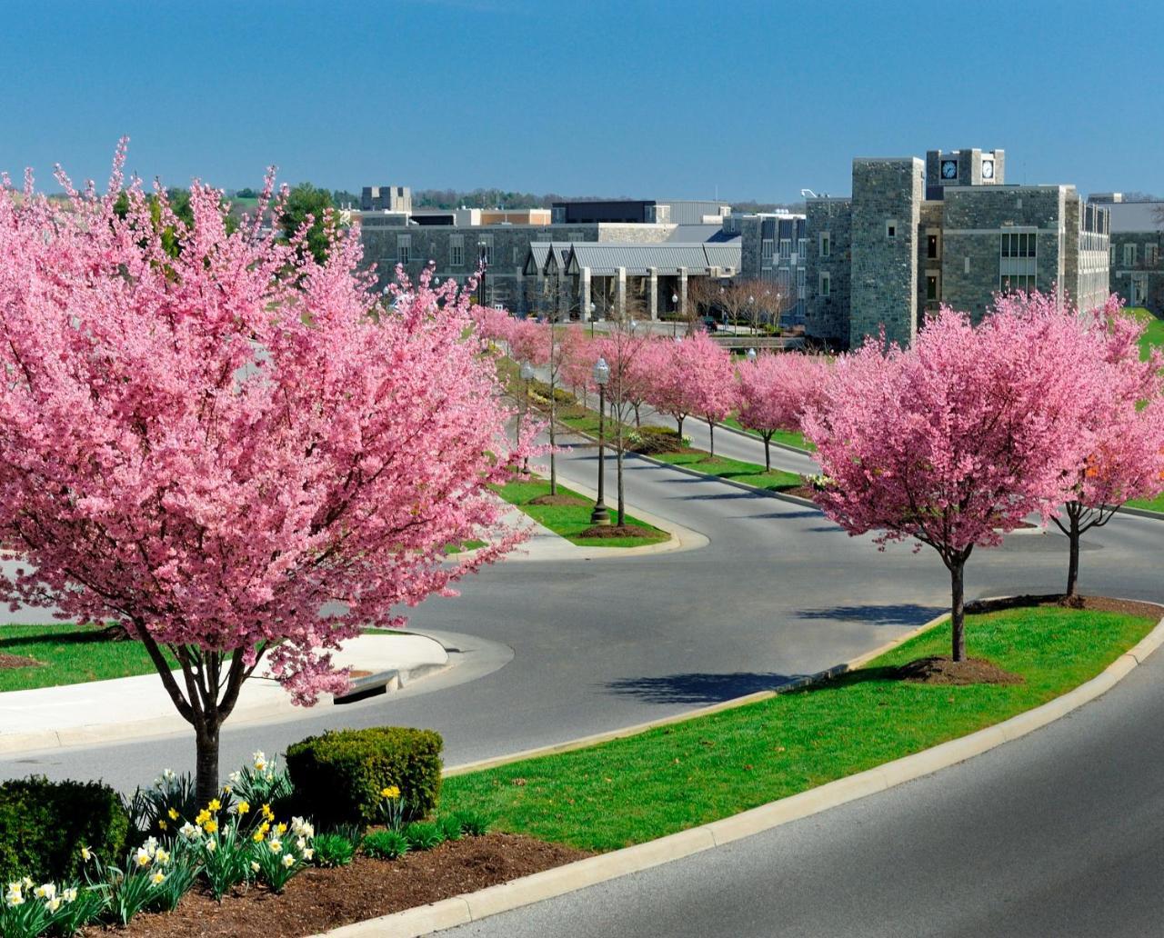 The Inn At Virginia Tech - On Campus Blacksburg Esterno foto